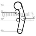 CONTINENTAL CTAM Zahnriemensatz CT1028K5 für SEAT VW AUDI FORD BORA Variant 1J6