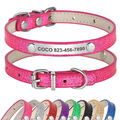 Glitzer Personalisiert Katzenhalsband Leder Hundehalsband Namen Telefon Gravur