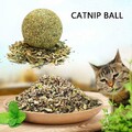 10PCS Cat Catnip Ball Lick Ball Help Digestion UK BEST V7C4 Z0F6