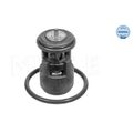 1x Thermostat, Kühlmittel MEYLE 100 121 1025 passend für AUDI SEAT SKODA VW