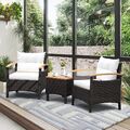 3 tlg. Rattanmöbel Polyrattan Lounge Set Gartenmöbel Möbel Sitzgruppe mit Kissen