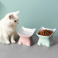 Futternapf Katze 2er Set - 2x erhöhter Keramik Napf - Fressnapf Katzennapf