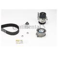 Continental Ctam CT1028WP2 Wasserpumpe Zahnriemensatz für Audi VW Ford