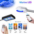 PopBloom 30W 60W reef led lampen aquarium led beleuchtung salzwasser riffkoralle