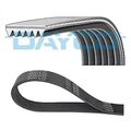 ORIGINAL® Dayco Keilrippenriemen für VW Golf V Passat Variant Golf Plus Touran