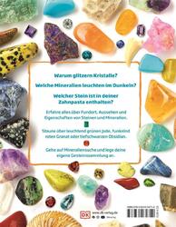 Steine und Mineralien | Devin Dennie | Entdecken, sammeln und bestimmen | Buch