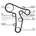 CONTINENTAL CTAM (CT1134WP2) Wasserpumpe+Zahnriemensatz für AUDI SEAT VW