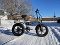 ENGWE EP-2 PRO 20 Zoll E-Bike Elektrofahrrad 750W 16AH E-Mountainbike Fat Bike 