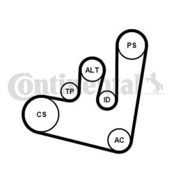 Keilrippenriemensatz Continental Ctam für Audi Skoda VW Seat 00-04 6Pk1660K2