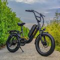 E Bike 20 Zoll Elektrofahrrad 48V15AH E Mountainbike Moped Fatbike Pedelec Ebike