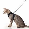 Katzengeschirr Hundegeschirr mit Leine Ausbruchsicher Verstellbar Geschirr Soft-