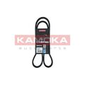 1x Keilrippenriemen KAMOKA 7016076 passend für AUDI FORD SEAT SKODA VW VAG