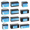 LiFePO4 12V 24V 36V 48V 100Ah 200Ah 300Ah Lithium Batterie BMS Wohnmobil Marine