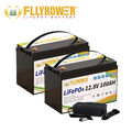 100Ah 12V Lithium Batterie LiFePO4 Akku BMS Solarbatterie Solaranlage 2 Pack 