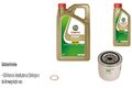 MANN-FILTER Ölfilter 6L CASTROL EDGE 5W-30 M passend für Renault 25 B29 