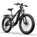 E Bike Mountainbike 1000W 26 Zoll Elektrofahrrad 840WH BAFANG Herren Fatbike MTB