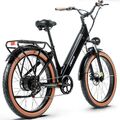 E Bike 25km/h E-Mountainbike 48V 20AH Ebike 750W Trekking Elektrofahrrad 25km/h