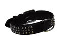 Nobby Leder Halsband VINTO B�ffelleder leder Nieten Hund Dog