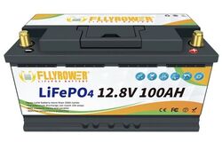 Lithium batterie 12V 100AH LiFePO4 Akku BMS für Wohnmobil Solarbatterie Boot RV