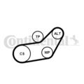 CONTINENTAL Keilrippenriemensatz 6PK1045K1 SEAT ALHAMBRA  VW TRANSPORTER T4 