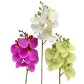 Kunstblume Orchidee PHALAENOPSIS ORCHIDEENZWEIG 27cm. Mit Real Touch Oberfläche.