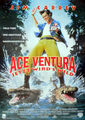 Ace Ventura - Jetzt wird's wild - Jim Carray - Filmposter A3 29x42 gerollt