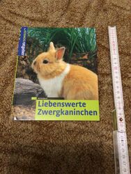 Liebenswerte Zwergkaninchen