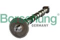 Nockenwelle Borsehung B18980 für VW SKODA SEAT AUDI 3C5 PASSAT 365 TIGUAN 5K1 CC