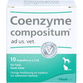 Coenzyme compositum ad us. vet. flüssige Verdünnung fü, 10 St. Ampullen 15300400