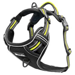 Hundegeschirr Kleine Hunde, Anti-Zug Brustgeschirr mit Tasche Reflektierend, XS