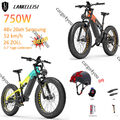 Lankeleisi RV800 Plus 750W E Mountainbike 48V 20AH Elektrofahrrad E-Bike Moped