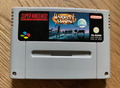 Super Nintendo SNES - Harvest Moon