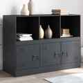 Sideboard Kommode Schrank Anrichte Metallschrank Highboard Anthrazit vidaXL