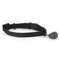  Halsbandmagnet Katzenhalsband Magnetisches Halsband Katzen 480 Schwarz PetSafe