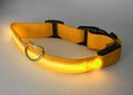 Hunde Leuchtband Leuchthalsband LED Halsband Hundehalsband Hunde Halsband LED