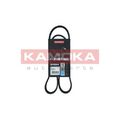 1x Keilrippenriemen KAMOKA 7016047 passend für AUDI BMW FIAT FORD MAZDA SEAT