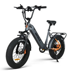 E Bike 20 Zoll 750W Electric Bike Mountainbike 48V 15.6Ah Elektrofahrrad Fatbike