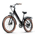 E Mountainbike 750W Elektrofahrrad 26 Zoll Ebike 48V 20AH Fatbike Trekking ebike