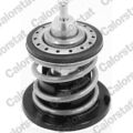 Thermostat Kühlmittel Kühler Calorstat BY Vernet FÜR Skoda VW 11-> Th7265.80