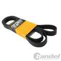 CONTINENTAL KEILRIPPENRIEMEN 3PK817 ELAST passend für MAZDA 6 CX-5 MX-5