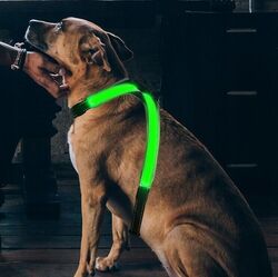 LED Hundegeschirr Atmungsaktiv Brustgeschirr USB LED-Beleuchtungsmodi Leuchtend