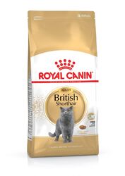 British Shorthair Trockenfutter für Erwachsene, 400 g