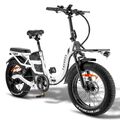 20 Zoll E-Bike Damen/Herren Elektrofahrrad 500W 48V/30AH E-Mountainbike Citybike