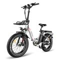 Fafrfees E-Mountainbike 20 Zoll Elektrofahrrad 500W 48V 22.5AH City E-Bike MTB