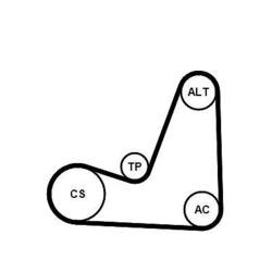CONTINENTAL CTAM 5PK1200K1 Keilrippenriemensatz passend für NISSAN RENAULT