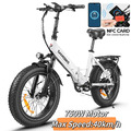 750W Elektrofahrrad 20 Zoll 48V 13AH Faltbares Fat Tire Mountainbike MTB E-Bike