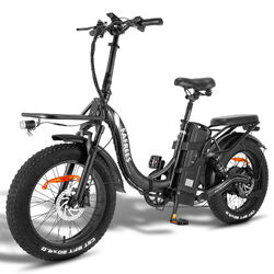 FAFREES F20 X-Max 20 Zoll Elektrofahrrad Klapprad 750W eBike 48V 30Ah E Citybike