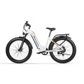 26 Zoll 17.5AH Electric Bike Elektrofahrrad 25KM/H Trekking EBike 1000W 48V MTB