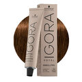 Schwarzkopf Igora Royal Absolutes 6-50 Natürliches Dunkles Goldblond 60ml