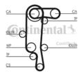 Continental Ctam CT957WP1 Wasserpumpe + Zahnriemensatz für Skoda VW Audi